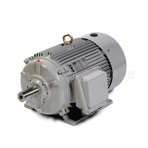 Motor cho máy rửa xe 5,5kW